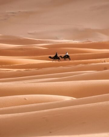 Desert Camel Trekking